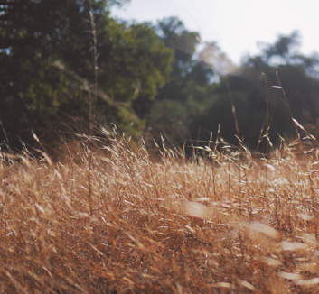 苏格兰队蓄势待发欧预赛